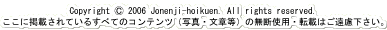 copyright